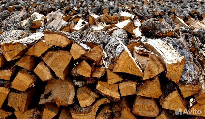 Дрова сразу
