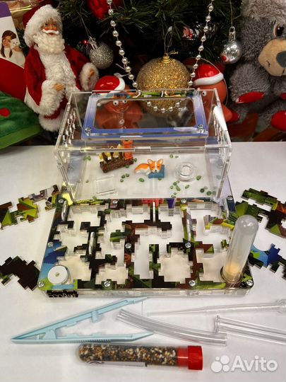 Муравьи Жнецы