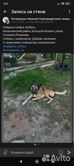 Собака в добрые руки