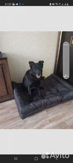 Лежанка, матрас для собак, лежанка-диван