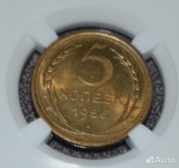 5 копеек 1956 г. в слабе ннр MS64
