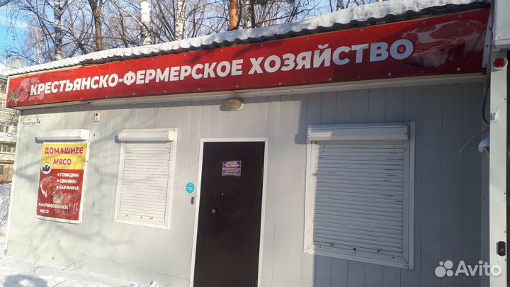 Конина,молодняк