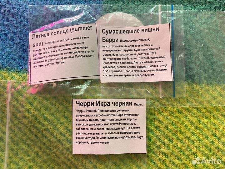 Томаты рассада