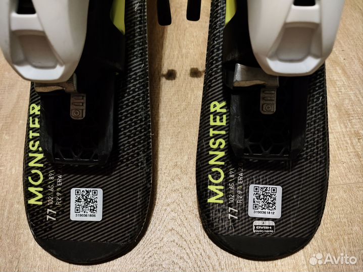 Горные лыжи fischer