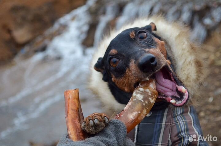 Сушеные лакомства для собак, бычий корень