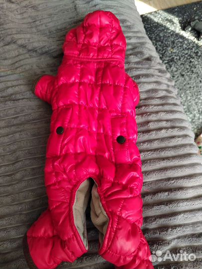 Зимний костюм для собаки