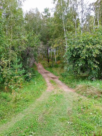 Участок 7 га (СНТ, ДНП)