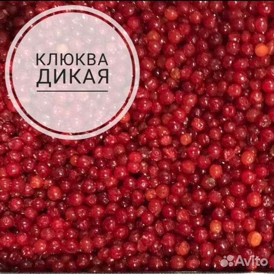 Клюква замороженная