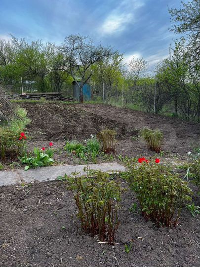 Дача 18 м² на участке 5 сот.