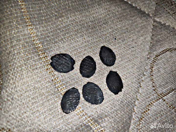 Чешуя серебро