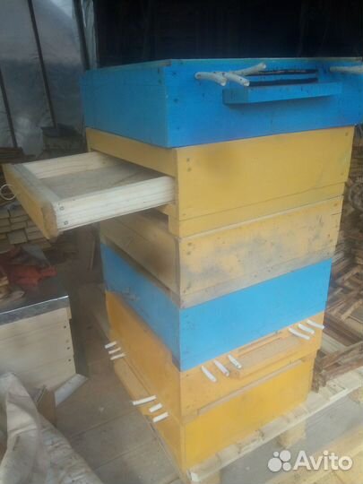 Пчелы и улья