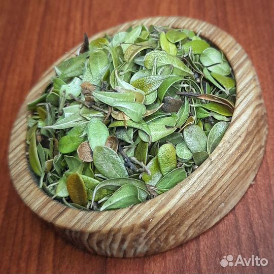 Толокнянка, Элеутерококк, Гинко Билоба