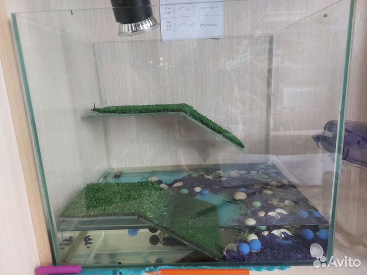 Террариум для черепашки, с уф лампой и горками