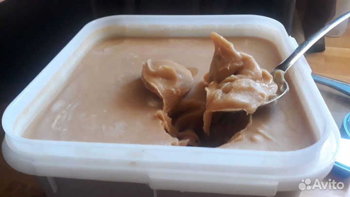 Мед алтайский 2022 года