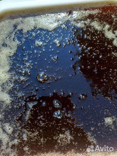 Мед свежий 2022 гречишный