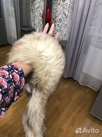Воротник из песца