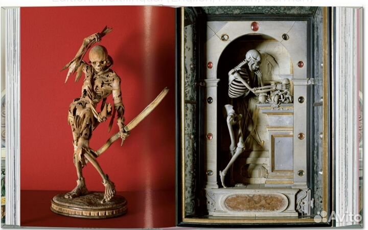 Massimo Listri. Cabinet of Curiosities. 40th