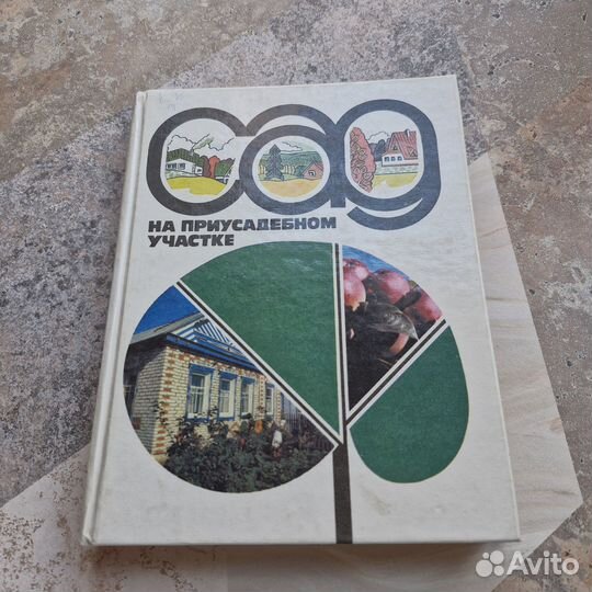 Сад на приусадебном участке. Кудрявец. 1994 г