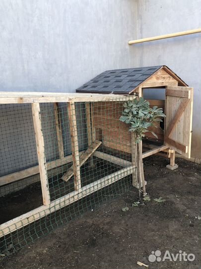 Домик для курочек с выгулум