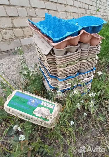 Ячейки для яиц 56 шт