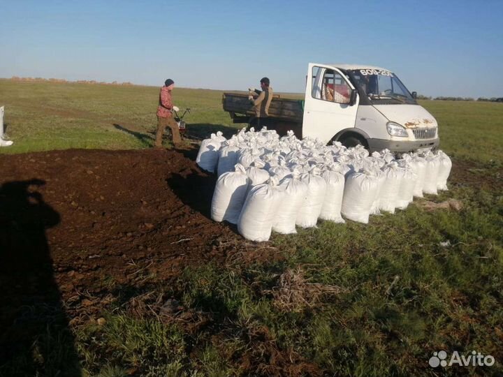 Дрова береза дуб