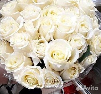 Высокие розы Гигантские розы Доставка цветов