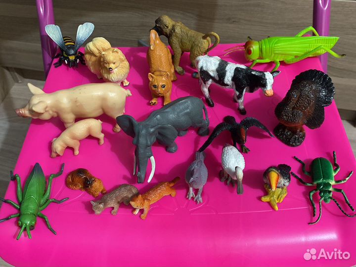 Коллекция животных
