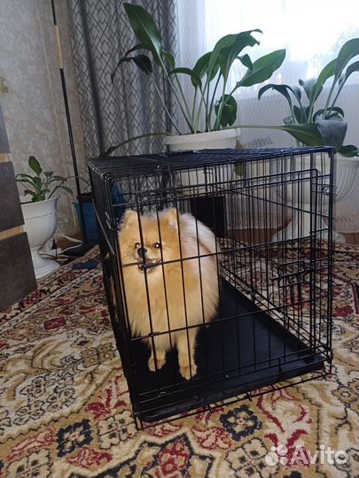 Клетка для собаки бу