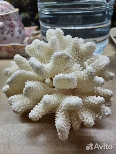 Натуральный декор в аквариум