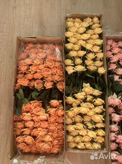 Искусственные цветы реал тач