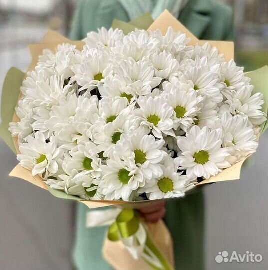 Хризантема. Букеты Цветы доставка