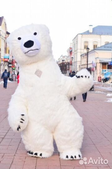 Аэромедведь поздравления