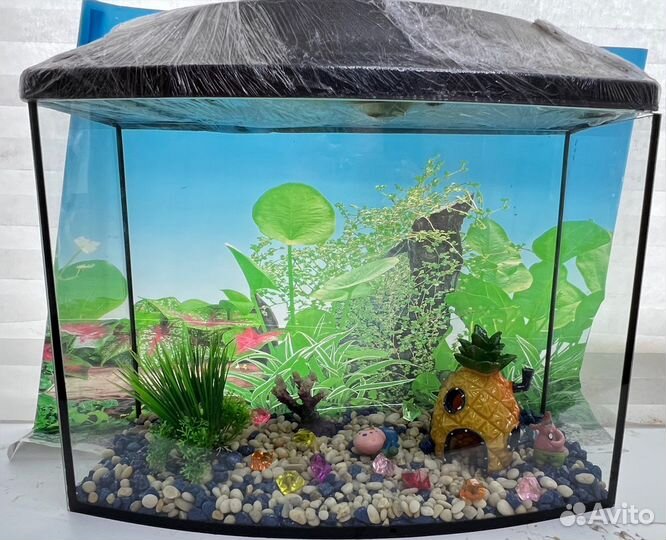 Аквариум