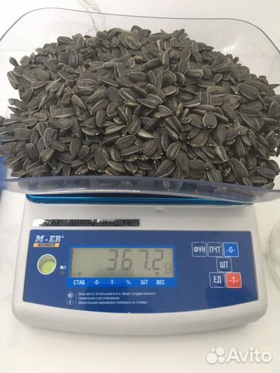 Подсолнечник калиброванный сорт спк