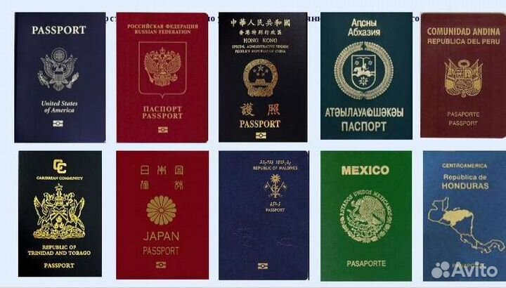 Получение рвп