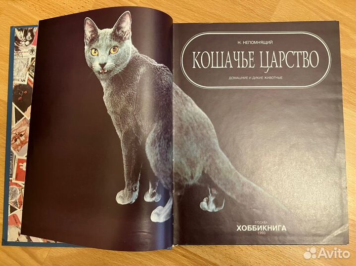 Книги про кошек