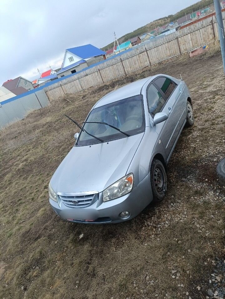 Kia Cerato: фото владельца