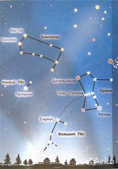Атлас определитель от земли до неба/Плешаков