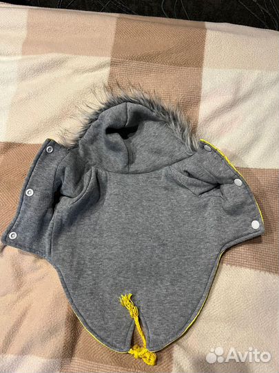 Одежда для собак