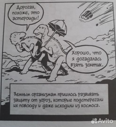 Эволюция для школьников