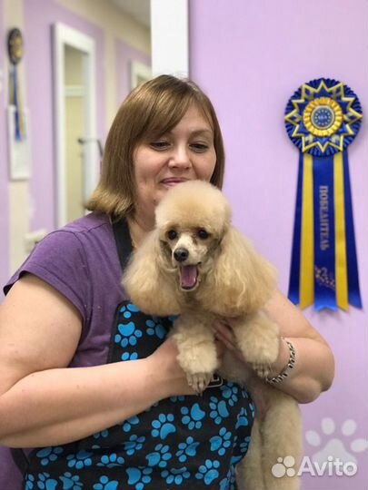 Стрижка собак