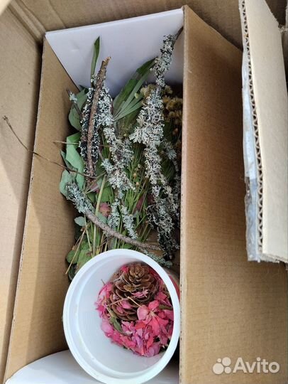 Сухоцветы (для дизайнерской бумаги и эпоксидки)