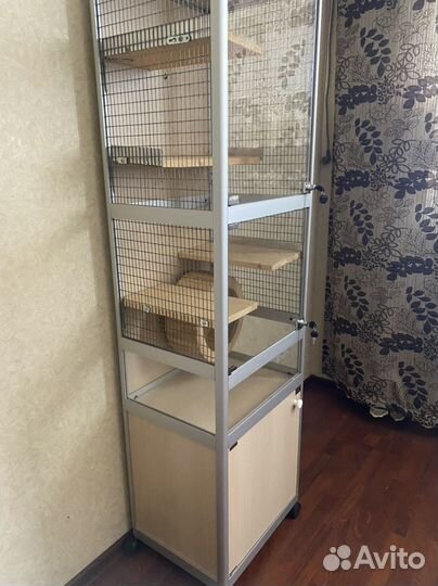 Витрина для шиншилл бу (27,28,29 сентября)