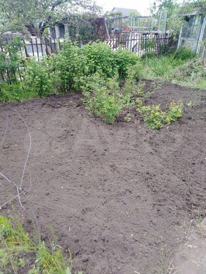 Дача 24 м² на участке 4 сот.