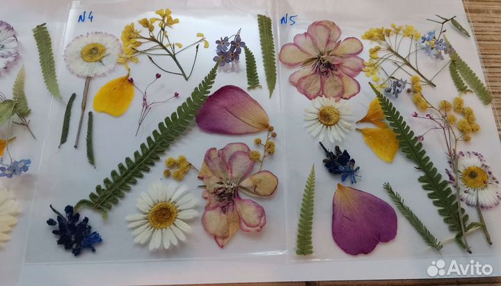 Сухоцветы из разных цветов и трав