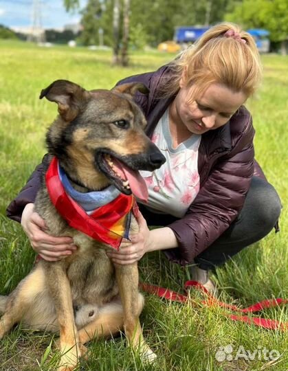 Послушный парень томится в приюте