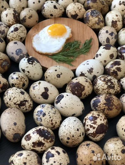 Яйца перепелиные