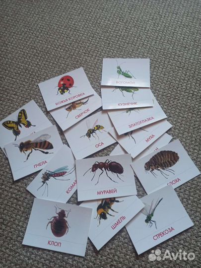 Наборы карточек для детей