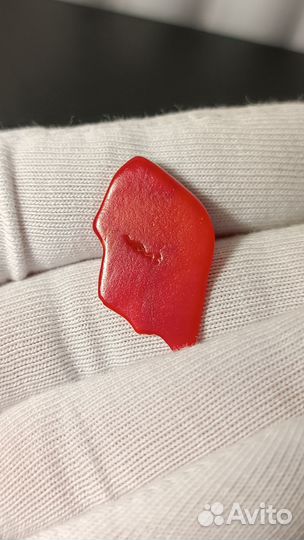 Коралл. Природный