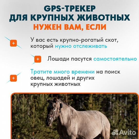 Ошейник для лошадей